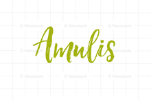 Load image into Gallery viewer, FALSE