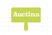 Load image into Gallery viewer, FALSE