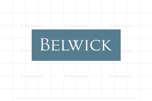 Load image into Gallery viewer, FALSE