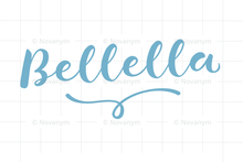 Load image into Gallery viewer, FALSE
